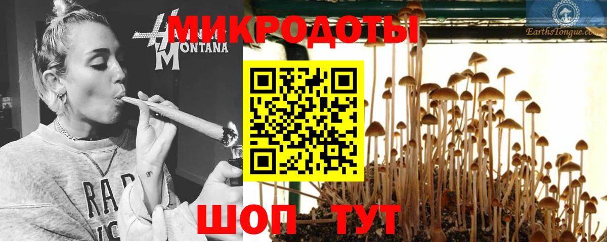 Торжок  Галлюциногенные грибы GOLDEN TEACHER  Вход с VPN 