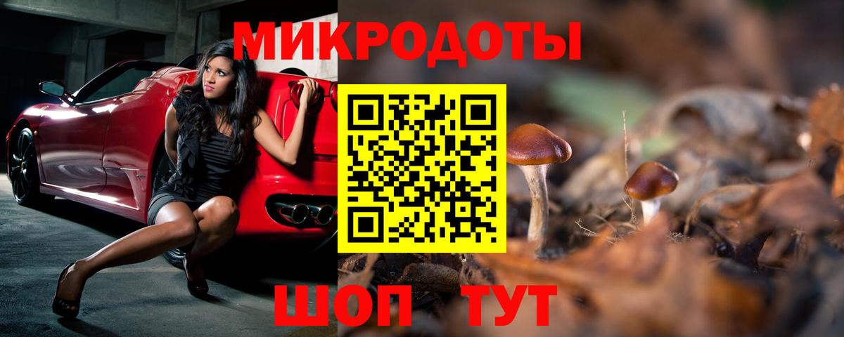 Галлюциногенные грибы прущие грибы Торжок